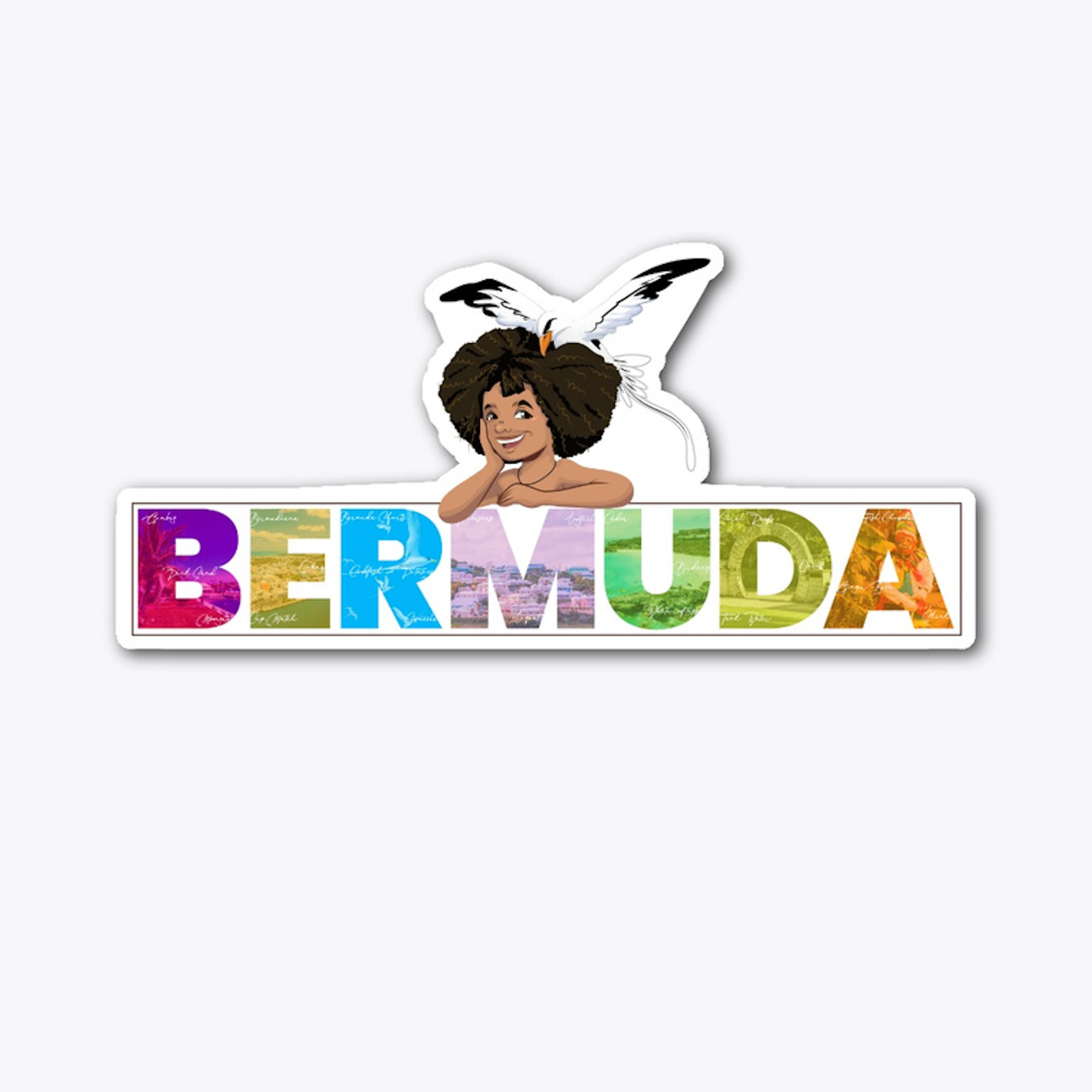 Official Bermuda Marquee V3